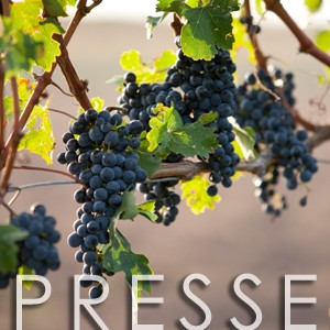 Presse Wurzinger