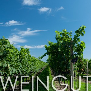 Weingut Wurzinger